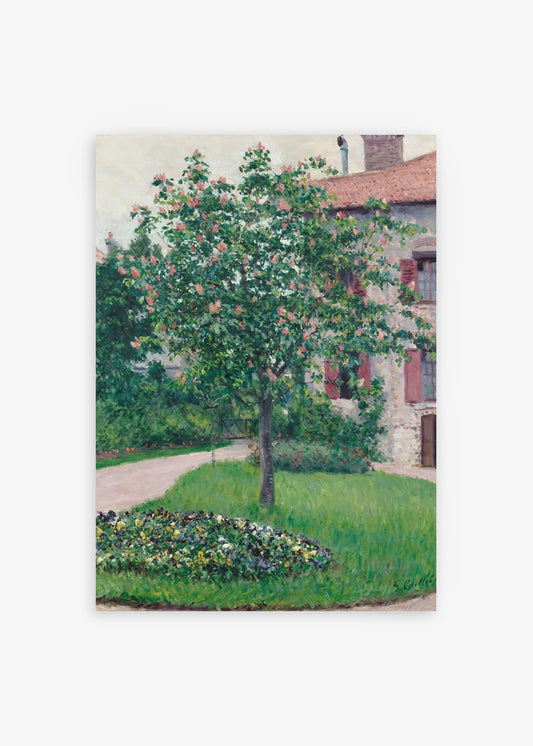 Plum Blossom Tree Poster