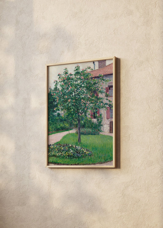 Plum Blossom Tree Poster