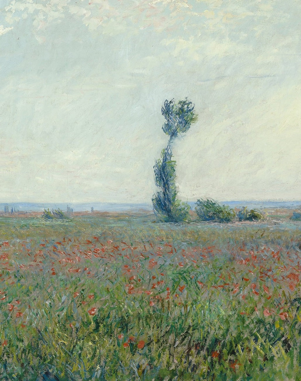 Landscape With Rose Field Poster