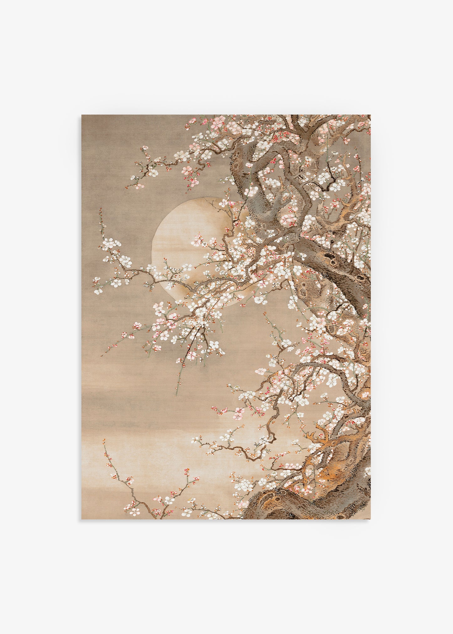 Plum Blossoms In Moonlight Print