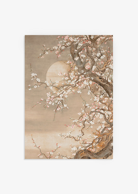 Plum Blossoms In Moonlight Print