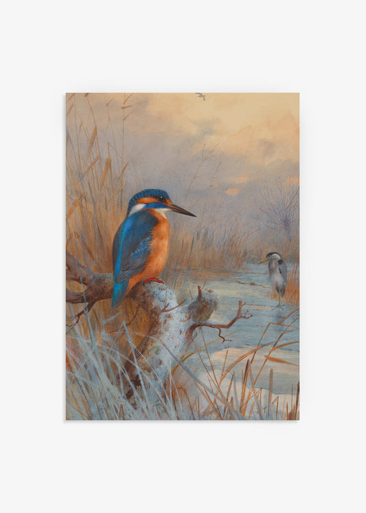 Kingfisher and Heron Print