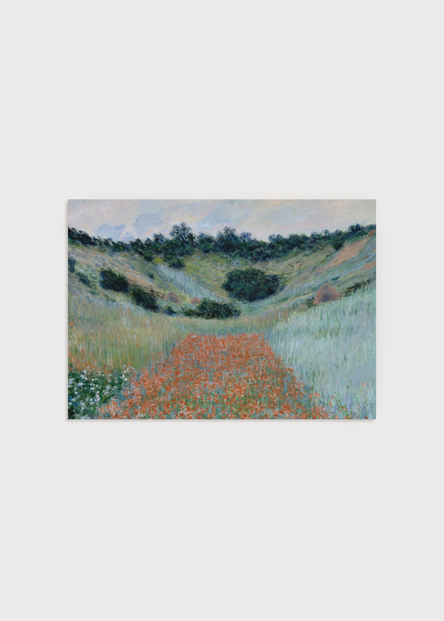 Flower Field Poster