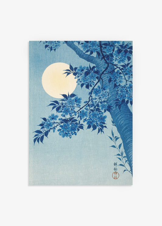 Blossoming Cherry on a Moonlit Night Print