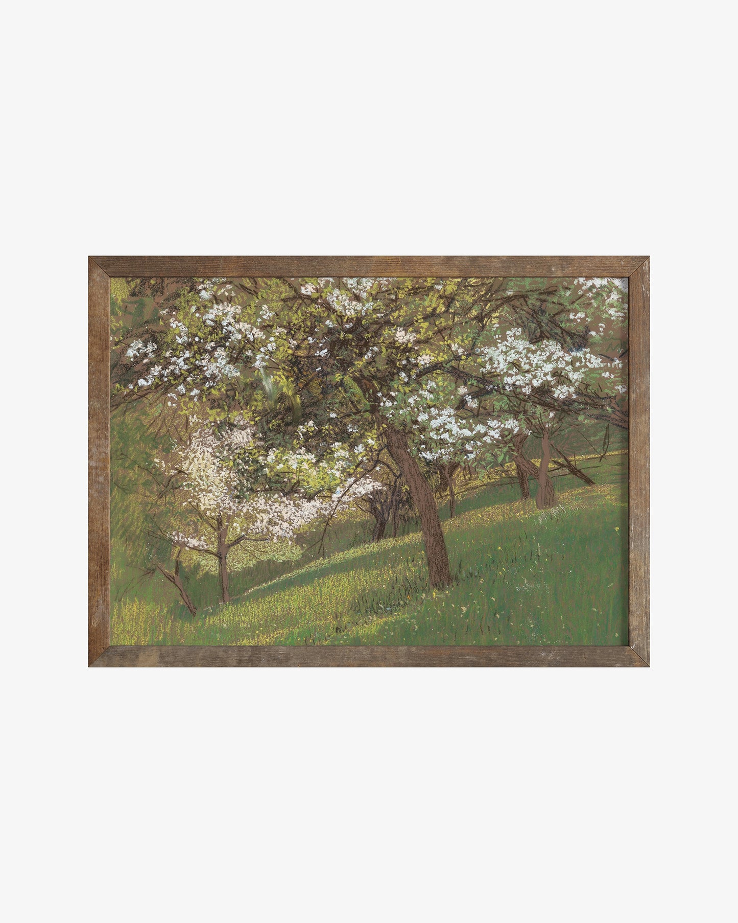 Tree Orchard Poster