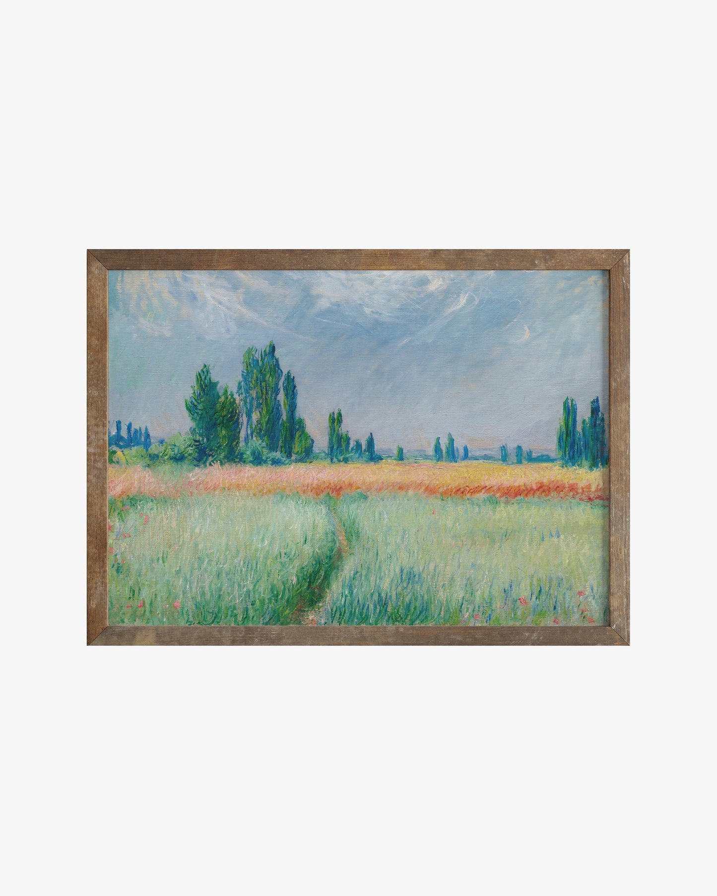 Landscape With Grass Field Poster