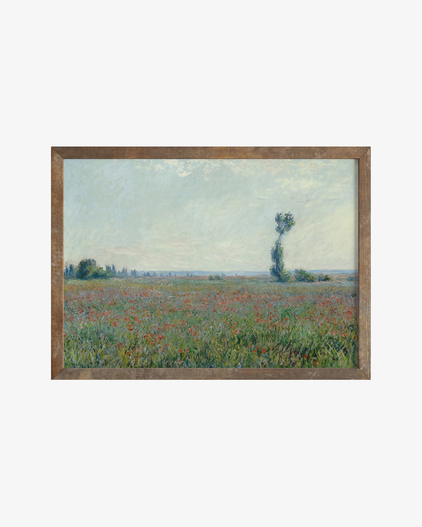 Landscape With Rose Field Poster