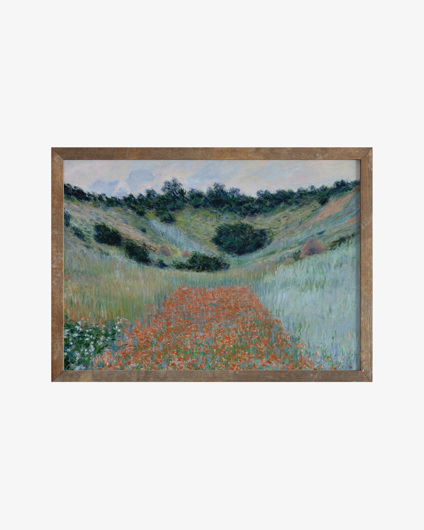 Flower Field Poster